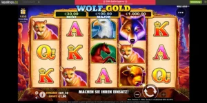 Der Wolf Gold Slot mit 5 Walzen und 3 Reihen