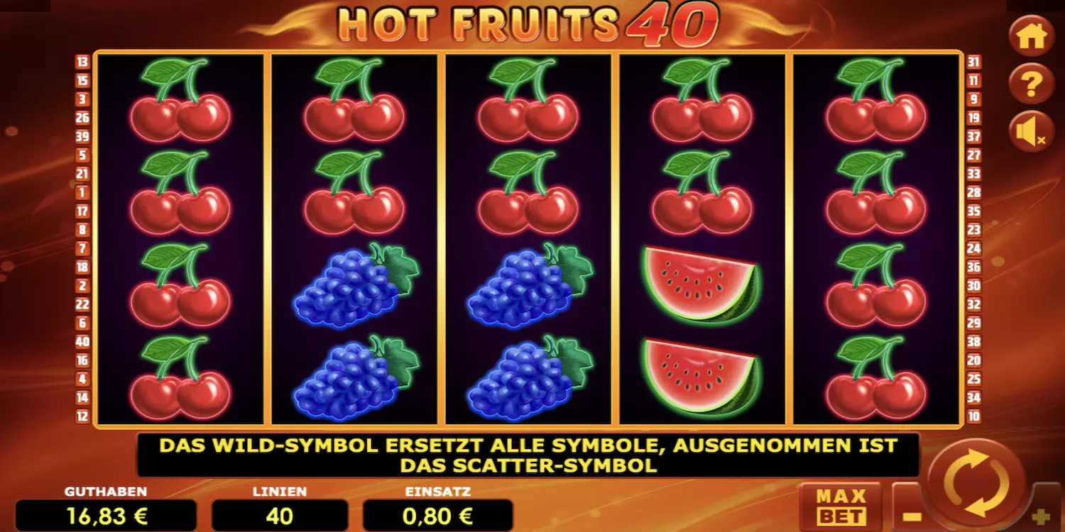 Das Hot Fruits 40 Spielfeld vor dem ersten Spin. 