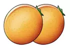Zwei Orangen