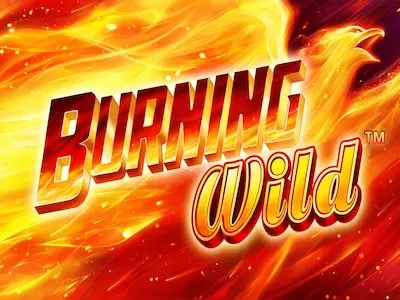 Burning Wild Schriftzug vor einem brennenden Phönix