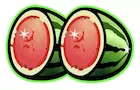 Zwei Melonen