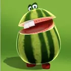 Eine Melone