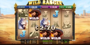 Gewinn von 2,70 Euro durch 2 Pferde und 3 Wild-Symbole