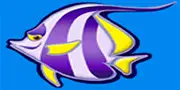 Symbol lila Fisch bei Wild Shark