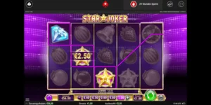 Gewinn von 2,50 Euro beim Slot Star Joker