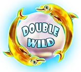 Double Wild Symbol