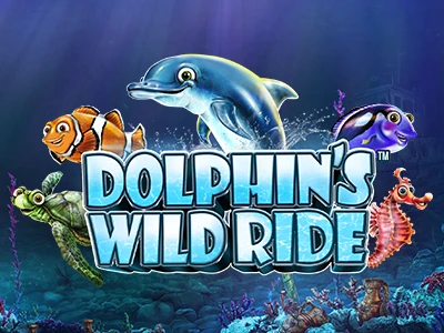 Teaserbild zu Dolphins Wild Ride