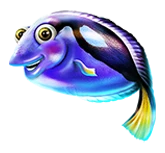 Blauer Fisch