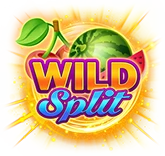 Wild-Split-Symbol