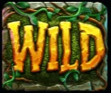 Wild-Symbol