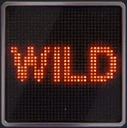 Wild-Symbol