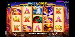 Starten des Slots Wolf Gold