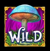 Wild-Symbol Pilz