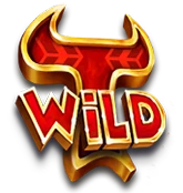 Wild-Symbol