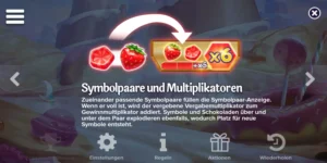 Erklärung zu Symbolpaaren und Multiplikatoren