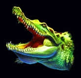 Krokodil