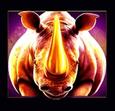 Rhinozeros