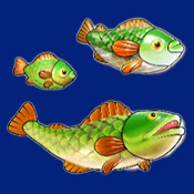Verschieden große Fische