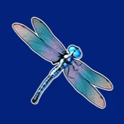 Libelle