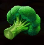 Broccoli