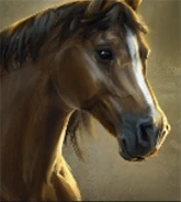 Pferd