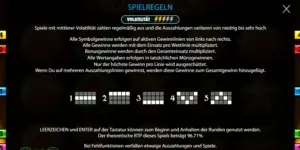 Spielerklärung und Übersicht der Gewinnlinien
