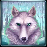 Schneewolf