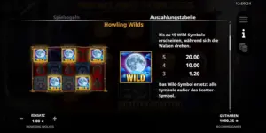 Erklaerung und Wertigkeiten zu Wild-Symbolen