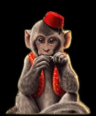 Affe