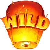Wild-Symbol