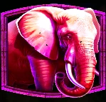 Elefant