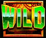 Wild-Symbol