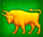 Stier