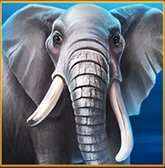 Elefant