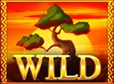 Wild-Symbol