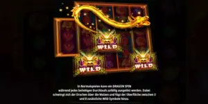 Erklärung zum Dragon Feature