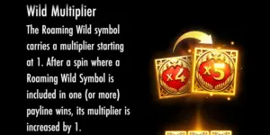 Erklärung zu Multiplikator-Wilds