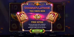 10 Freispiele gewonnen