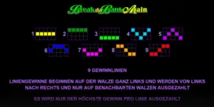 Übersicht der 9 Gewinnlinien