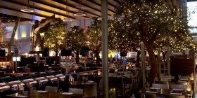 Gedeckte Restaurant-Tische neben Baum mit Lichterkette